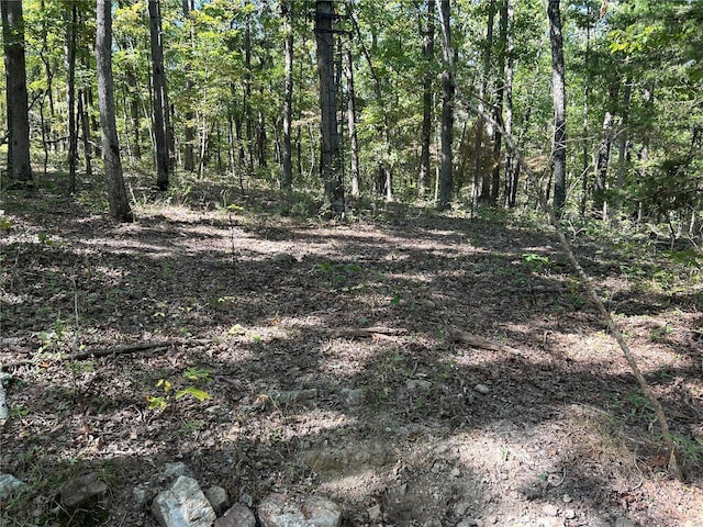 view of local wilderness