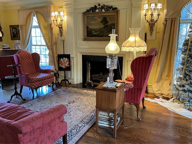 sitting room featuring wood-type flooring