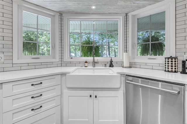 kitchen with a wealth of natural light, white cabinets, a sink, and stainless steel dishwasher