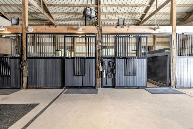 view of horse barn