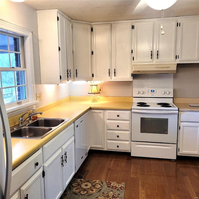 kitchen with dark hardwood / wood-style flooring, white cabinetry, sink, and white appliances