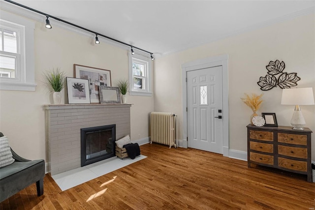 interior space featuring radiator heating unit, crown molding, hardwood / wood-style floors, track lighting, and a fireplace