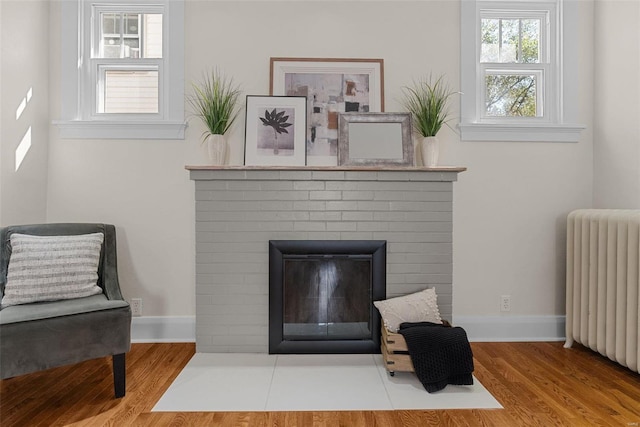 details with a fireplace, radiator heating unit, and hardwood / wood-style floors