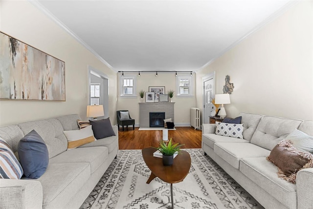 living room with radiator, wood-type flooring, track lighting, a fireplace, and ornamental molding