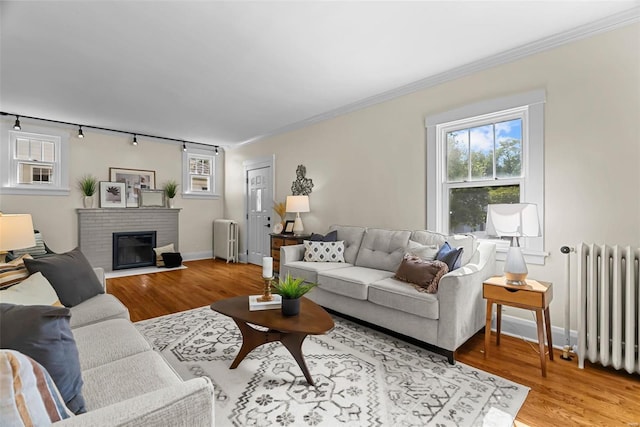 living room featuring radiator heating unit, hardwood / wood-style floors, and a brick fireplace