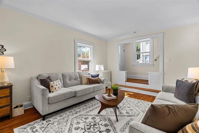 living room featuring radiator, crown molding, and dark hardwood / wood-style floors