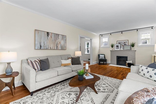 living room featuring hardwood / wood-style flooring, radiator heating unit, ornamental molding, and a fireplace