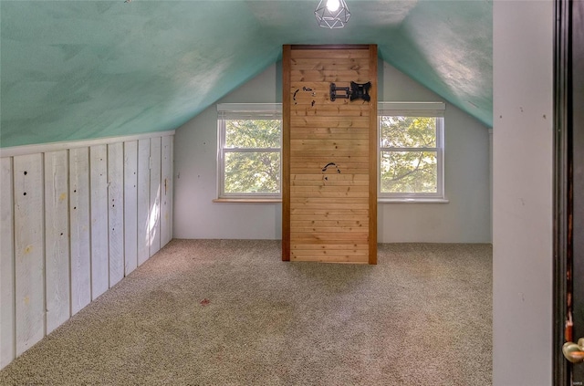 additional living space with carpet floors, lofted ceiling, and a wealth of natural light