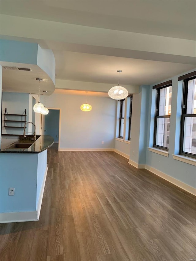 interior space featuring sink and dark wood-type flooring