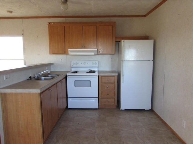 kitchen featuring crown molding, white appliances, and sink