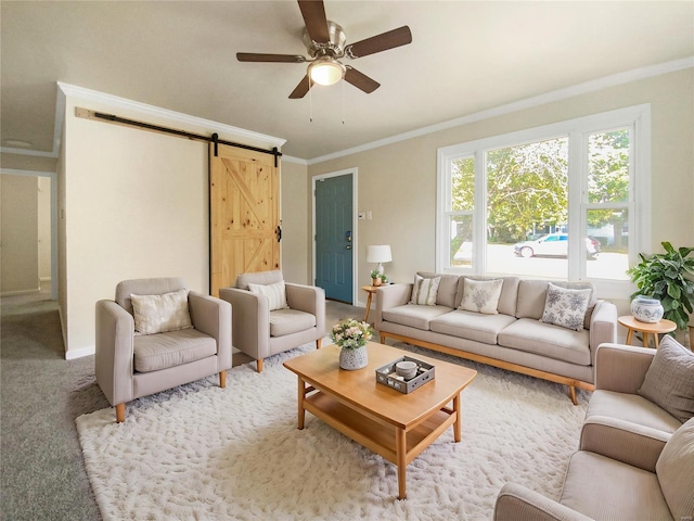 carpeted living room featuring ornamental molding, ceiling fan, and a barn door