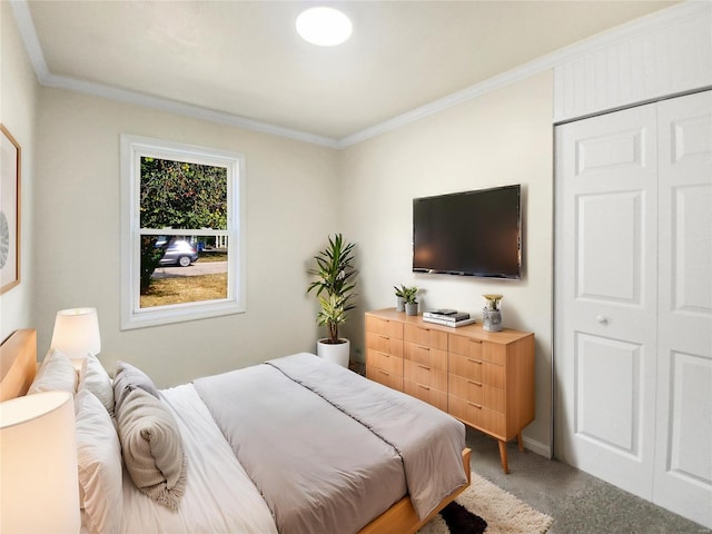 bedroom with carpet floors, crown molding, and a closet