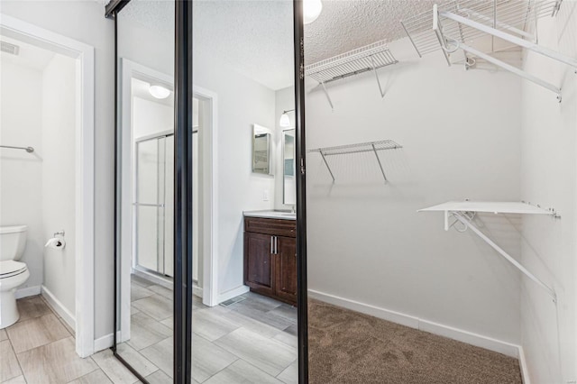 view of walk in closet