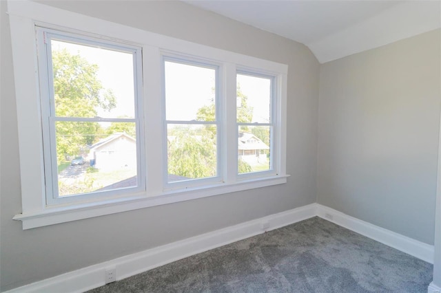 empty room with carpet floors, lofted ceiling, and plenty of natural light