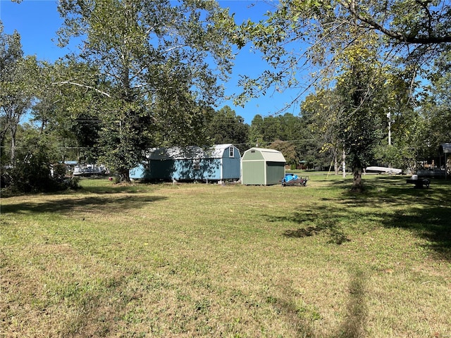 view of yard with a storage unit