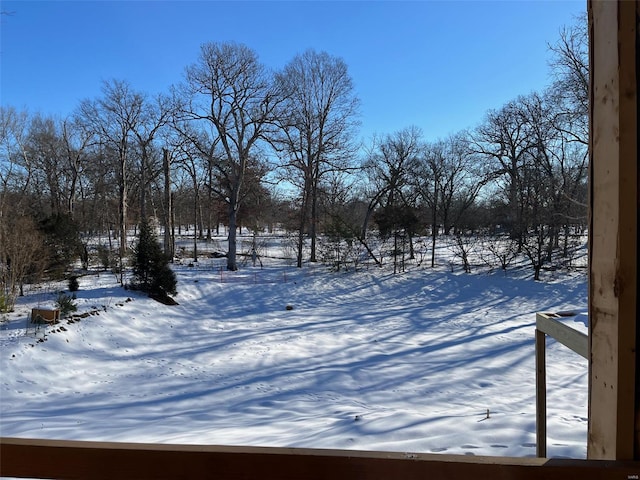 view of snowy yard