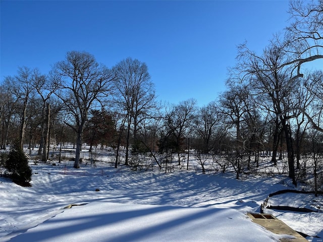 view of snowy yard