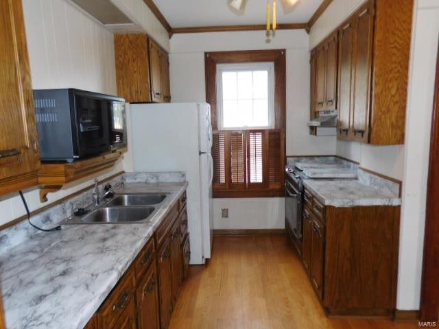 kitchen with ceiling fan, sink, light hardwood / wood-style flooring, crown molding, and white fridge