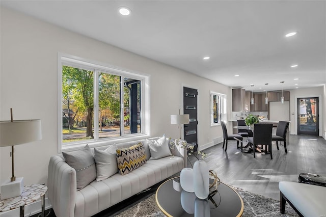 living room featuring hardwood / wood-style flooring