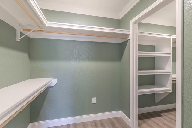 spacious closet featuring light hardwood / wood-style floors