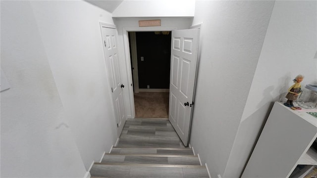 staircase with hardwood / wood-style flooring