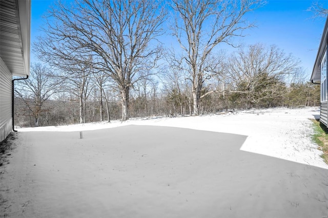 view of yard layered in snow