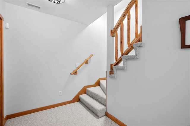 staircase featuring carpet floors