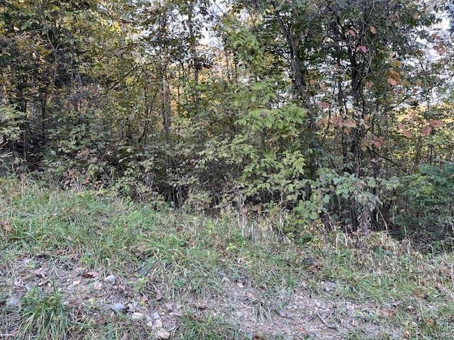 75 N Skyline Dr, New Florence MO, 63363 land for sale