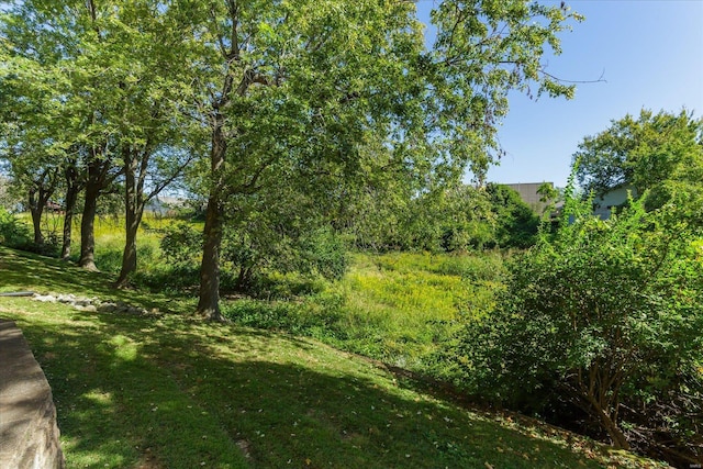 view of local wilderness