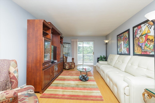 living room with light hardwood / wood-style flooring