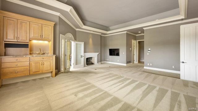 unfurnished living room with ornamental molding, light carpet, sink, and a raised ceiling