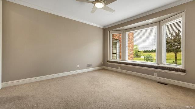 spare room with crown molding, ceiling fan, and carpet