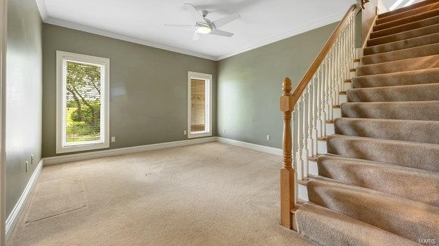 carpeted foyer featuring ceiling fan and ornamental molding