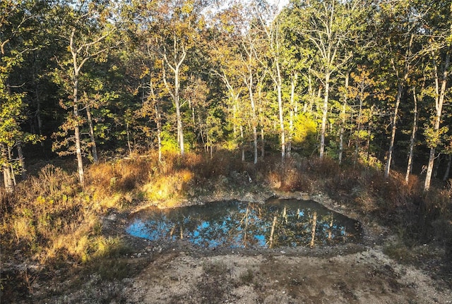 view of pool featuring a water view