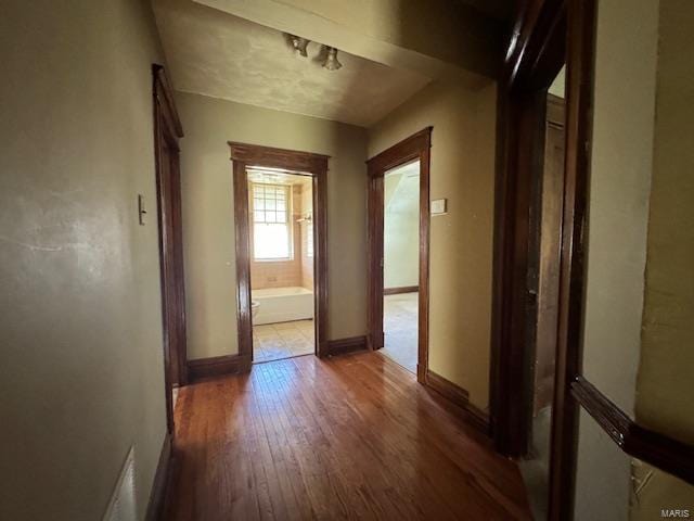 corridor featuring dark hardwood / wood-style flooring