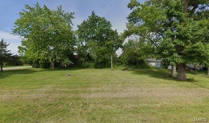 491 Daisy St, Mount Olive IL, 62069 land for sale