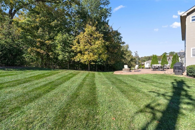 view of yard featuring a patio