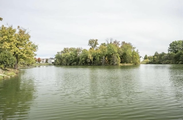 view of water feature