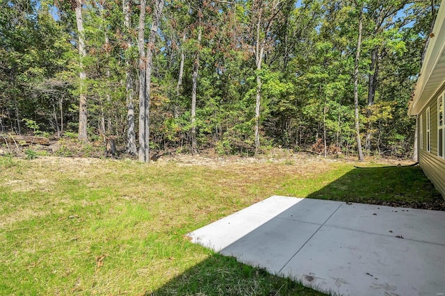 view of yard featuring a patio area