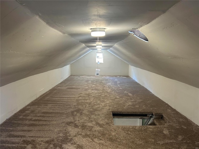 additional living space featuring carpet floors and vaulted ceiling