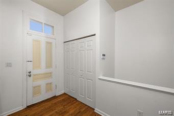 doorway to outside featuring dark wood-type flooring