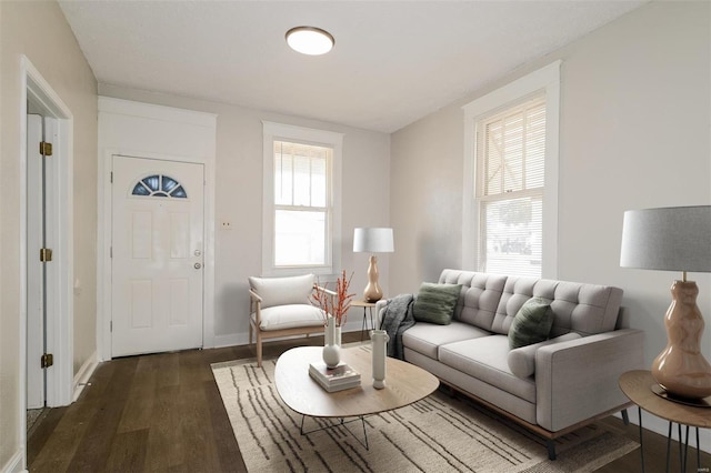 living room with dark wood-type flooring