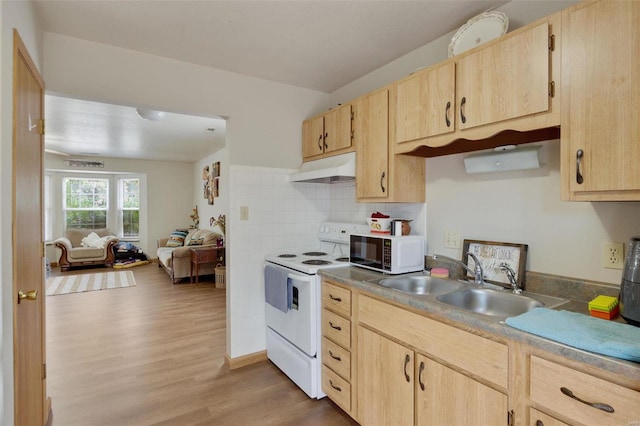 kitchen with light hardwood / wood-style floors, white appliances, light brown cabinetry, sink, and backsplash