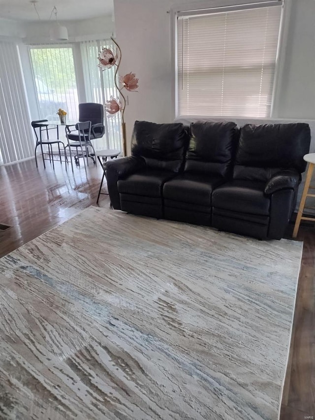 living room with wood-type flooring