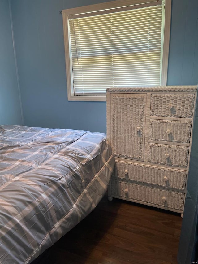 bedroom featuring dark wood-type flooring