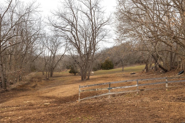 view of yard featuring a rural view