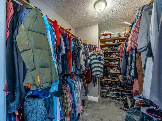 walk in closet featuring carpet floors