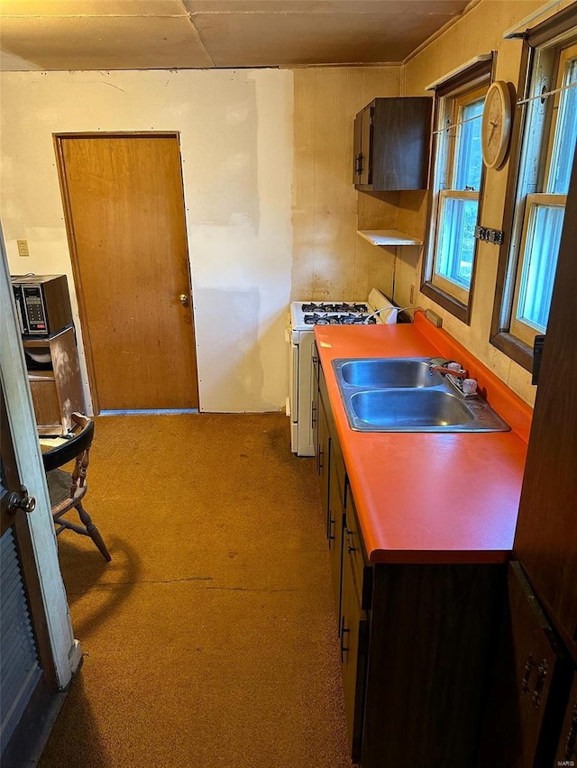 kitchen with carpet, sink, and gas range gas stove