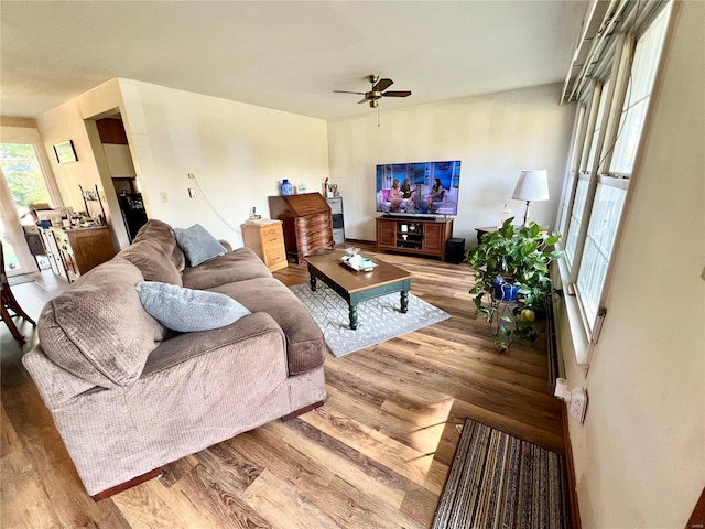 living room featuring ceiling fan and hardwood / wood-style flooring