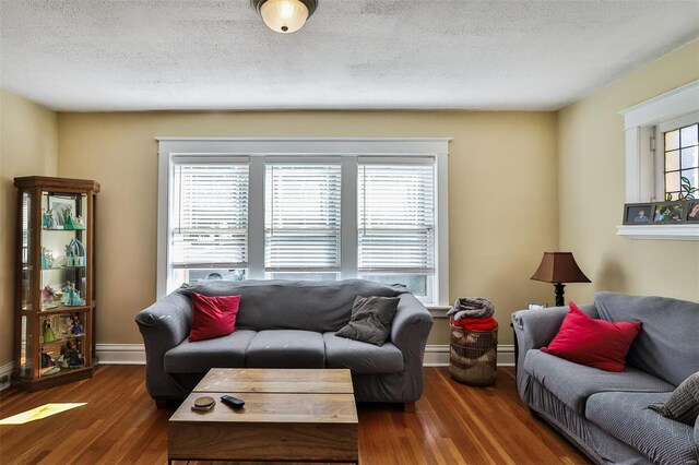 living room featuring a baseboard radiator, a textured ceiling, and dark hardwood / wood-style flooring